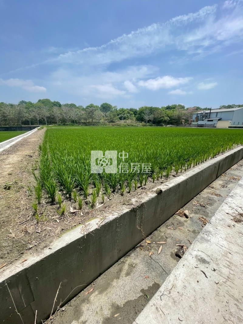 草屯稀有大地坪農地房屋室內格局與周邊環境