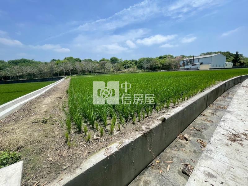 草屯稀有大地坪農地房屋室內格局與周邊環境