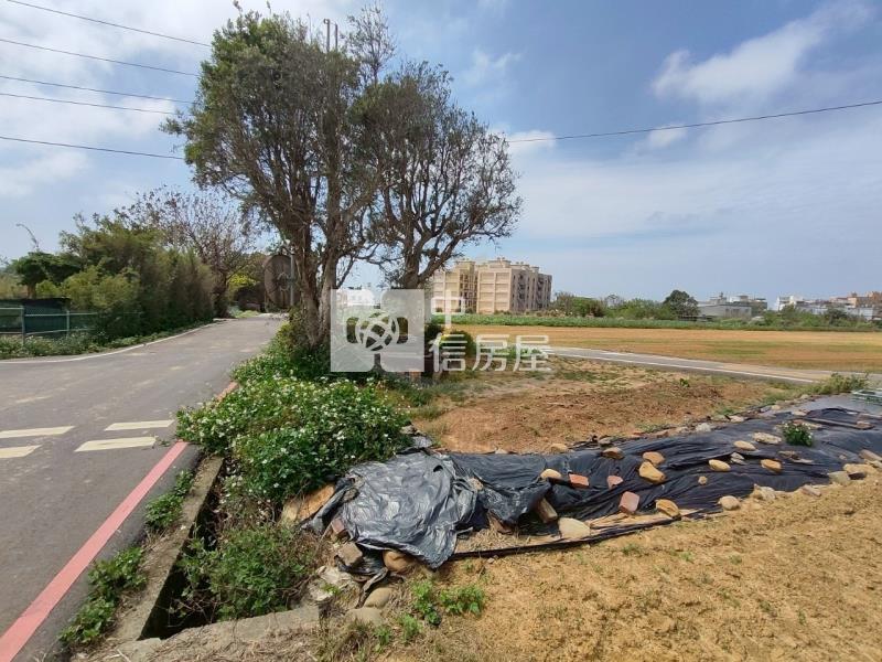 【玖禾】觀音育仁段雙面臨路美田房屋室內格局與周邊環境