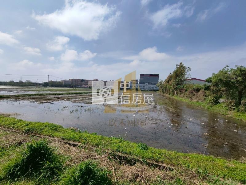 【玖禾】頭洲國小一般農房屋室內格局與周邊環境