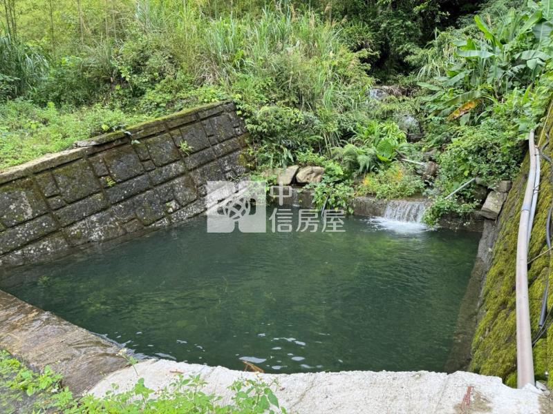 新竹尖石民宿露營原保地房屋室內格局與周邊環境