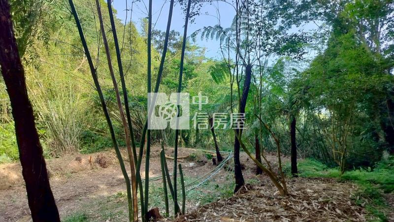 大溪都計內農地-3房屋室內格局與周邊環境