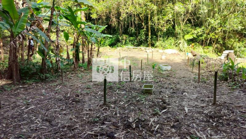 大溪都計內農地-3房屋室內格局與周邊環境