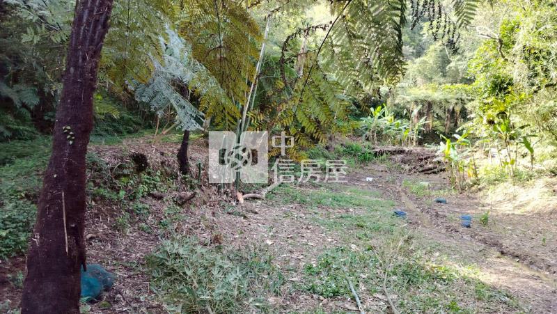 大溪都計內農地-2房屋室內格局與周邊環境