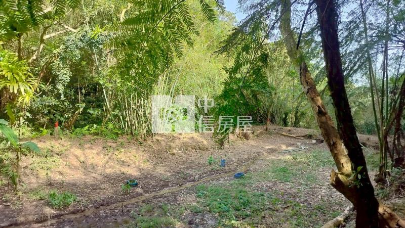 大溪都計內農地-2房屋室內格局與周邊環境