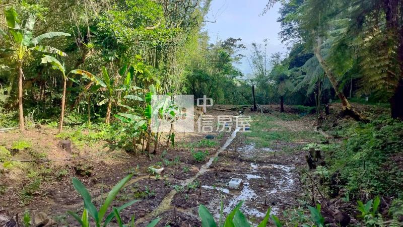 大溪都計內農地-2房屋室內格局與周邊環境