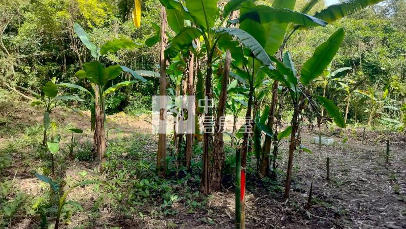 大溪都計內農地-2房屋室內格局與周邊環境