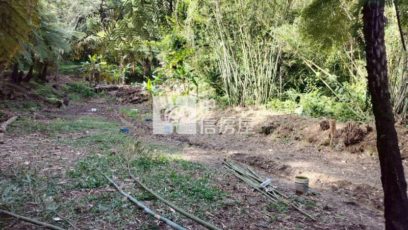 大溪都計內農地-1房屋室內格局與周邊環境