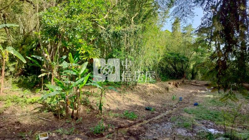 大溪都計內農地-1房屋室內格局與周邊環境