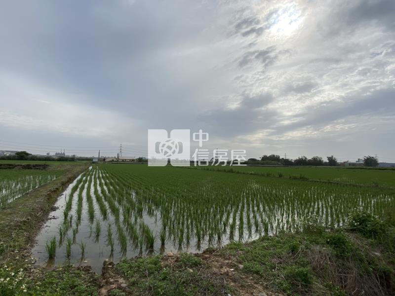 新屋低總價農地房屋室內格局與周邊環境