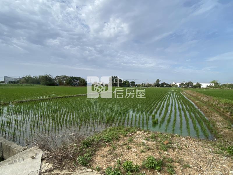 新屋低總價農地房屋室內格局與周邊環境