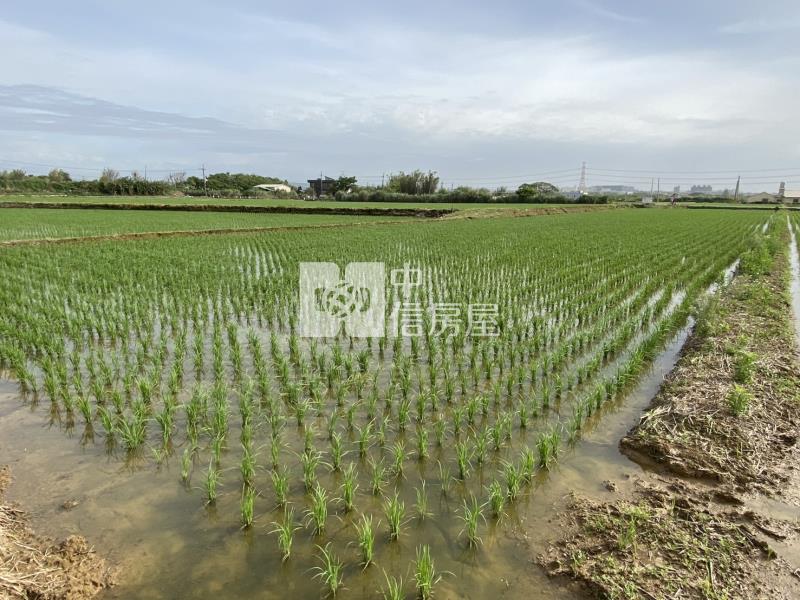 新屋低總價農地房屋室內格局與周邊環境