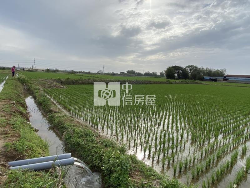 新屋低總價農地房屋室內格局與周邊環境