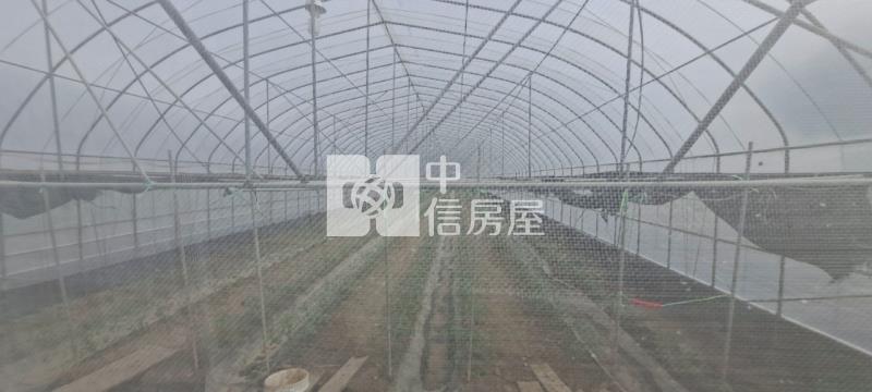 N268-嘉義六腳網室農地房屋室內格局與周邊環境