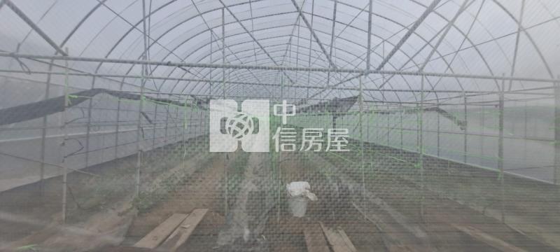 N268-嘉義六腳網室農地房屋室內格局與周邊環境