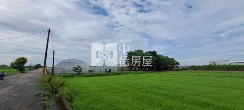 N268-嘉義六腳網室農地房屋室內格局與周邊環境