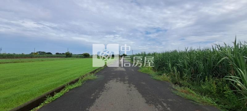 N268-嘉義六腳網室農地房屋室內格局與周邊環境