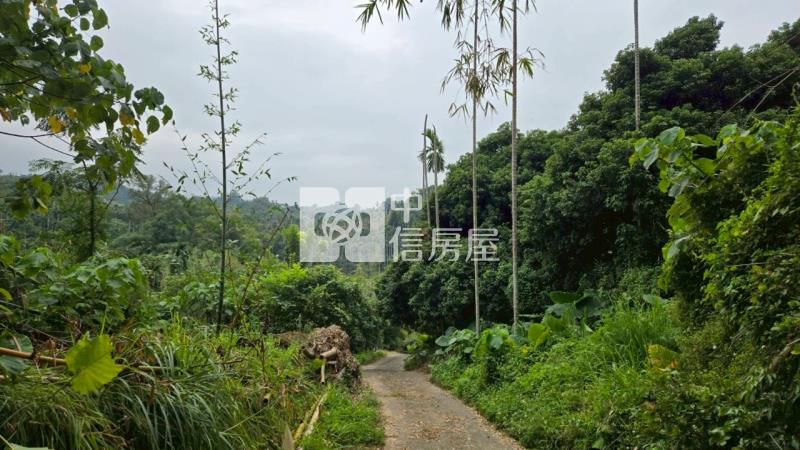 N267-嘉義竹崎台三美農地房屋室內格局與周邊環境