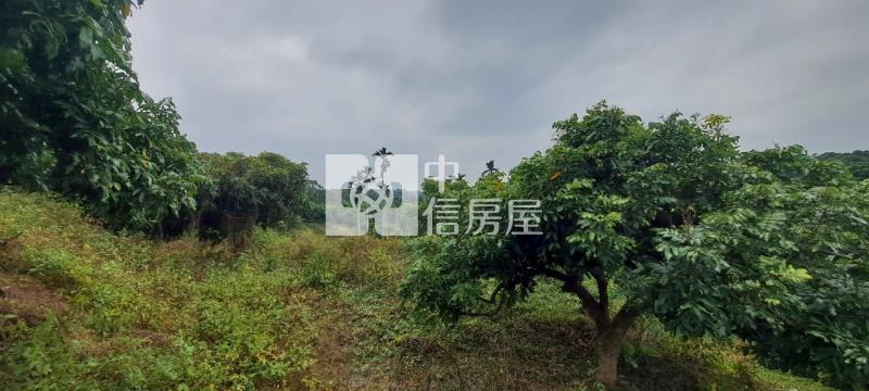 N267-嘉義竹崎台三美農地房屋室內格局與周邊環境
