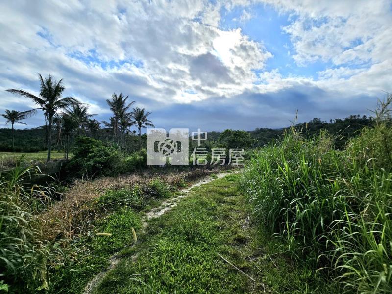 花東海岸公路風景區美農地房屋室內格局與周邊環境