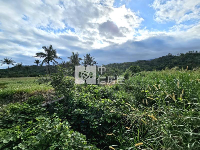 花東海岸公路風景區美農地房屋室內格局與周邊環境