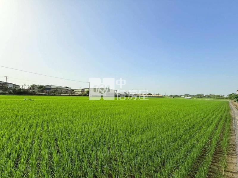 嘉朴公路雙面路農地房屋室內格局與周邊環境