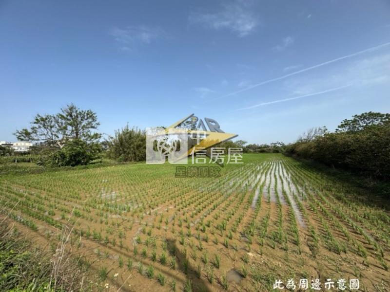 【星鑽】新屋社子方正漂亮美農地房屋室內格局與周邊環境