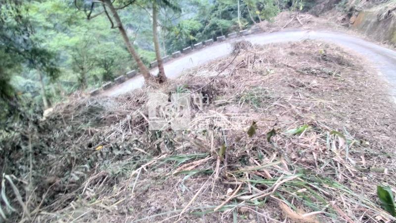 國姓低總價山坡地房屋室內格局與周邊環境