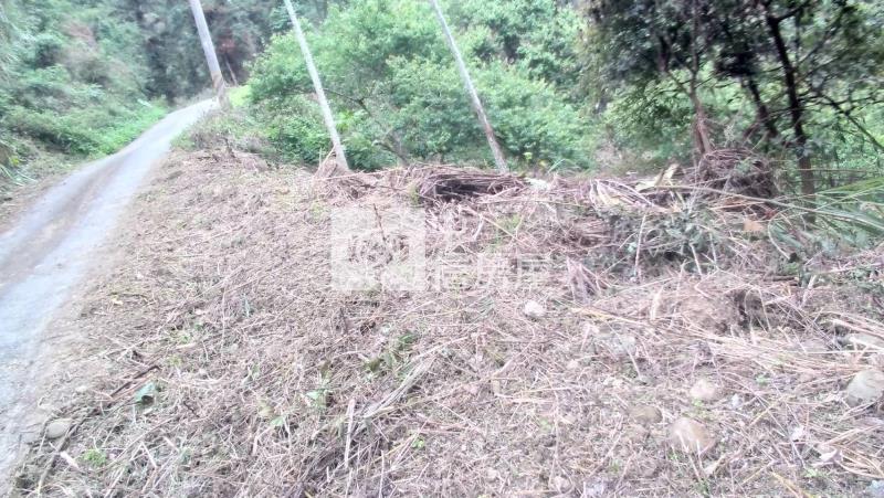 國姓低總價山坡地房屋室內格局與周邊環境