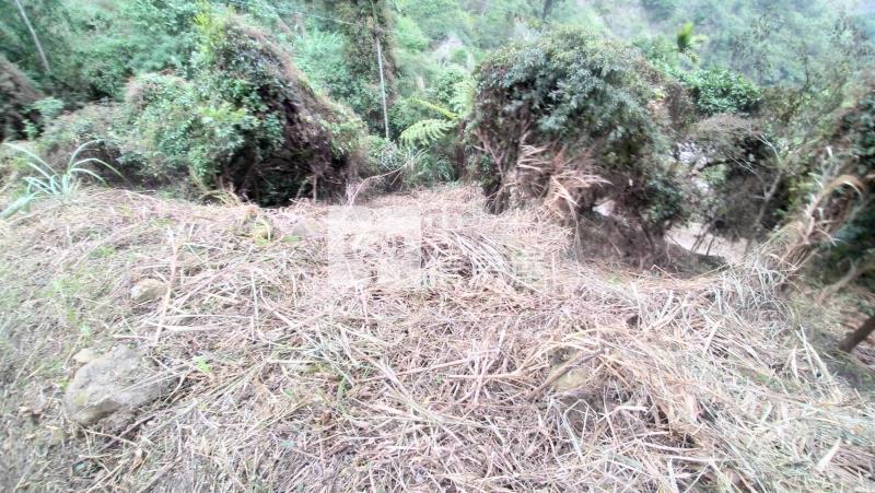 國姓低總價山坡地房屋室內格局與周邊環境