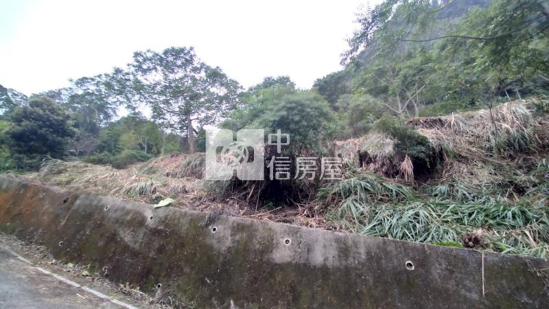 國姓低總價山坡地房屋室內格局與周邊環境