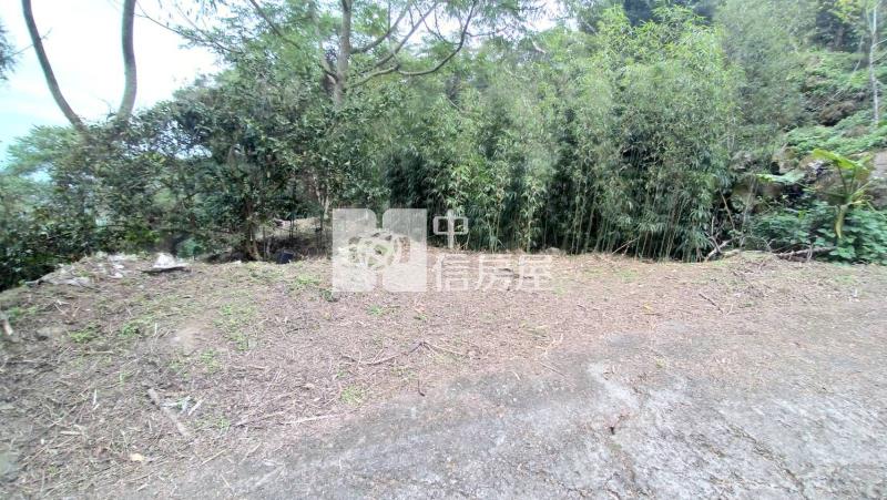 國姓低總價山坡地房屋室內格局與周邊環境