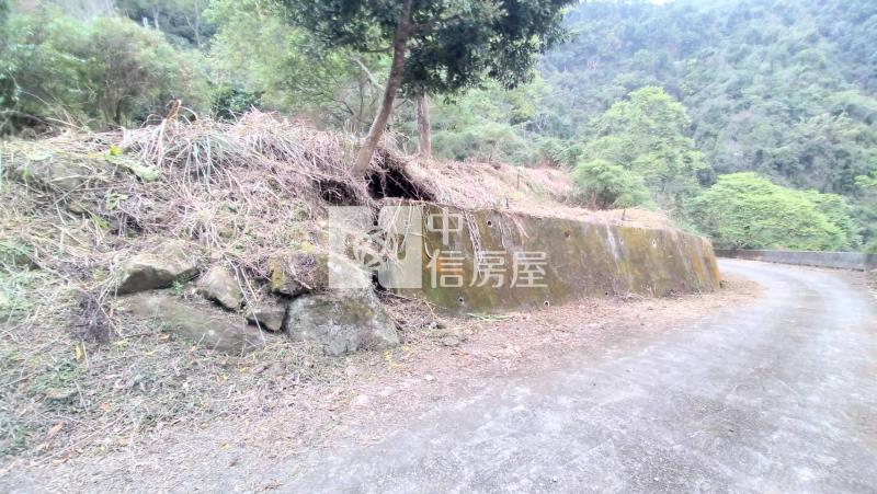 國姓低總價山坡地房屋室內格局與周邊環境