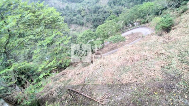 國姓低總價山坡地房屋室內格局與周邊環境