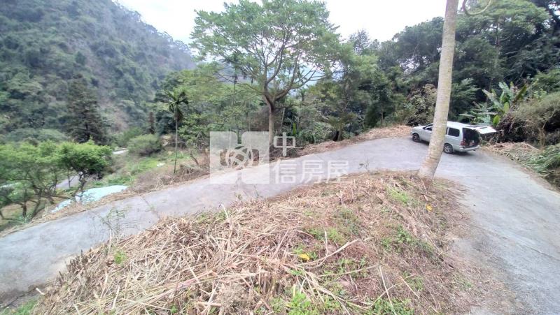 國姓低總價山坡地房屋室內格局與周邊環境