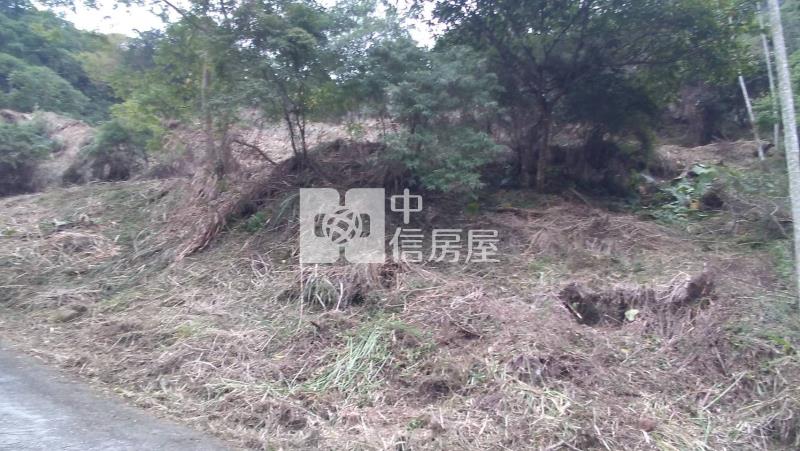 國姓低總價山坡地房屋室內格局與周邊環境