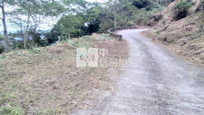 國姓低總價山坡地房屋室內格局與周邊環境