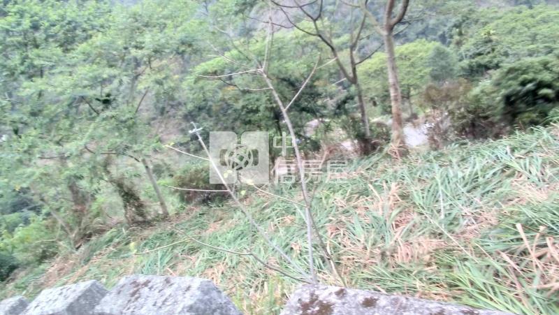 國姓低總價山坡地房屋室內格局與周邊環境