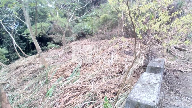 國姓低總價山坡地房屋室內格局與周邊環境