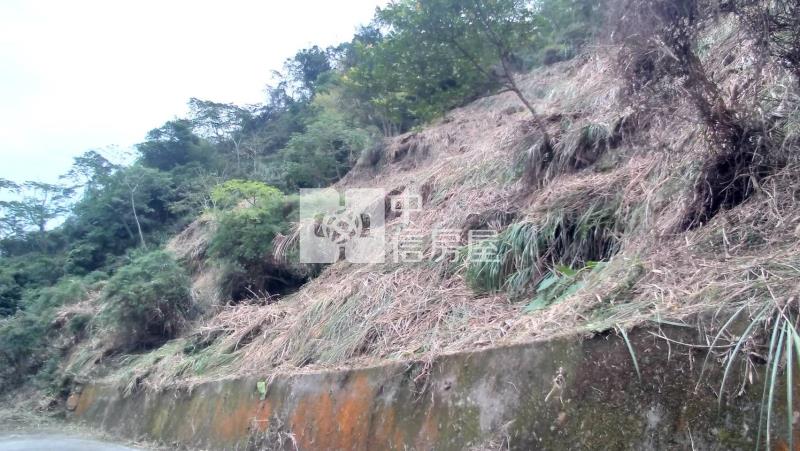 國姓低總價山坡地房屋室內格局與周邊環境