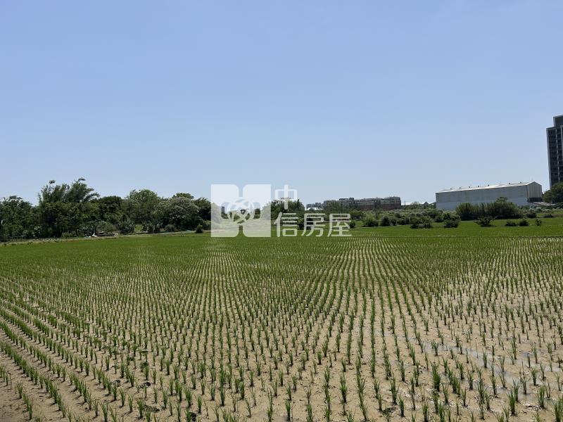 觀音大湖段便宜美農地房屋室內格局與周邊環境