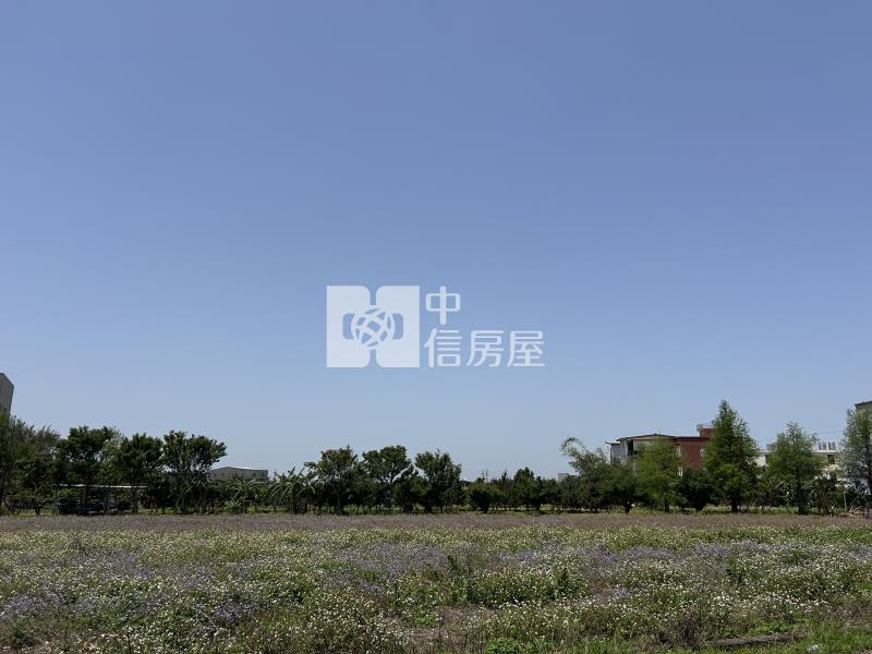 觀音大湖段便宜美農地房屋室內格局與周邊環境