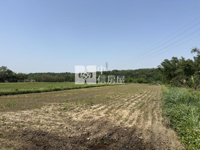 【安家】近大溪交流道漂亮農地房屋室內格局與周邊環境