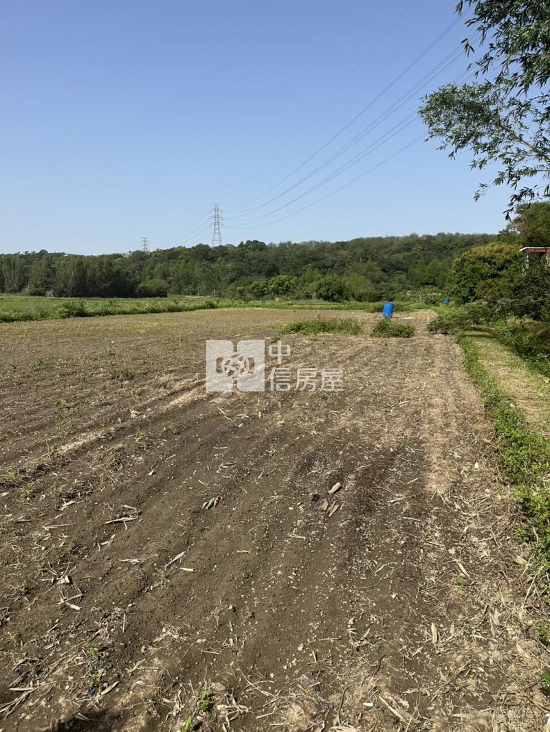 【安家】近大溪交流道漂亮農地房屋室內格局與周邊環境