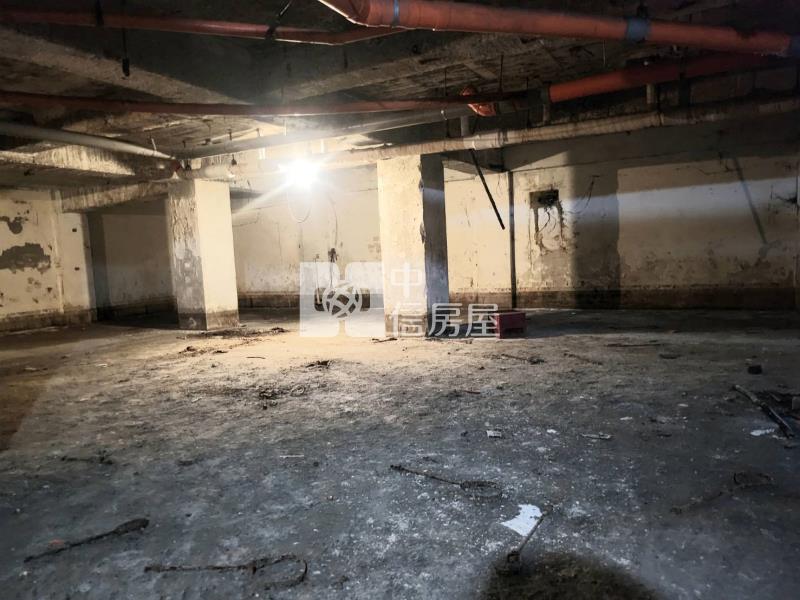 人體印鈔機「金雞母現身」房屋室內格局與周邊環境