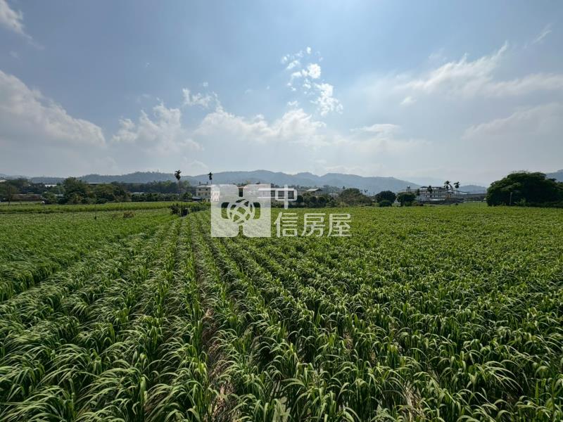 八股景觀田房屋室內格局與周邊環境