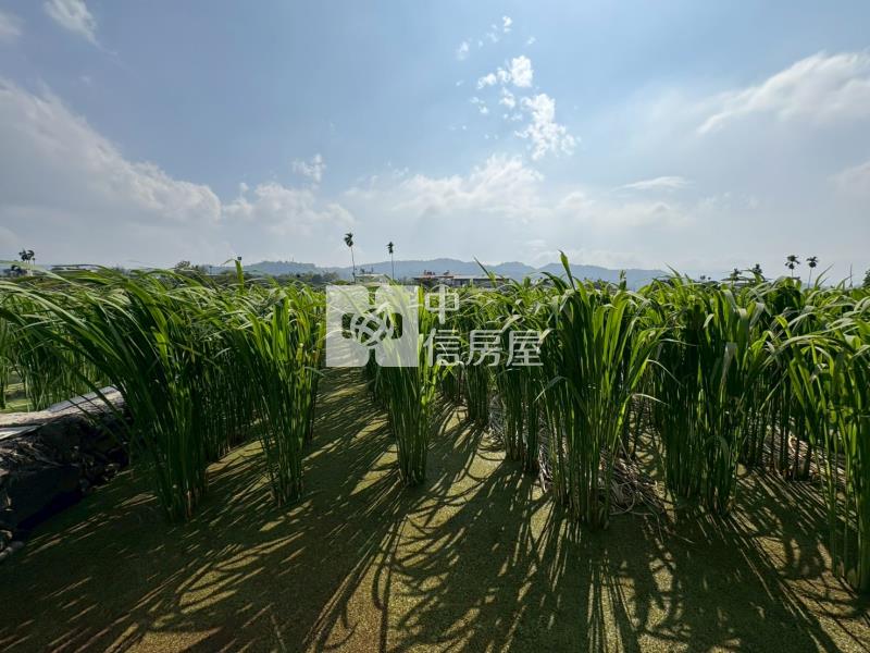 八股景觀田房屋室內格局與周邊環境