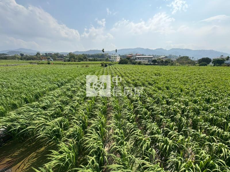 八股景觀田房屋室內格局與周邊環境