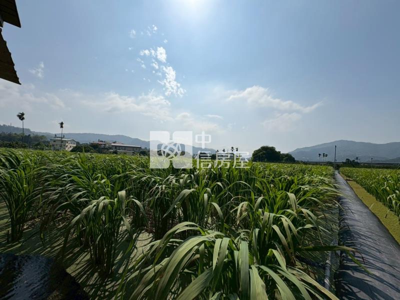 八股景觀田房屋室內格局與周邊環境