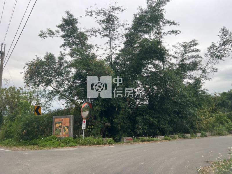 (專任)台東東河漂亮農地房屋室內格局與周邊環境